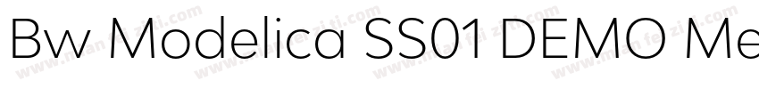 Bw Modelica SS01 DEMO Medium Expand字体转换